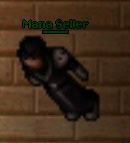 NPC Mana Seller.png